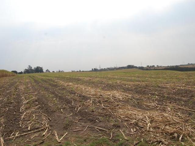 75 ha Land available in Camperdown