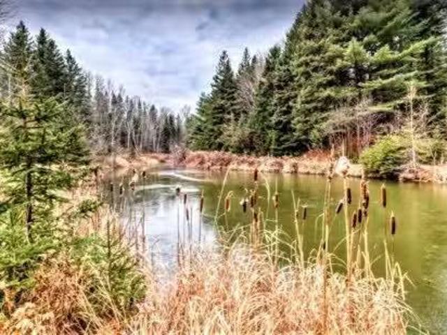 7651 Ch. Pelletier, Rawdon, QC, J0K 1S0 house for sale List.