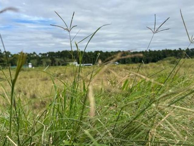 768 m² Land available in Elaleni Coastal Forest Estate