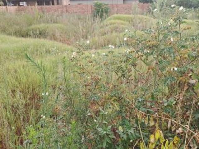 770 m² Land available in Aerorand