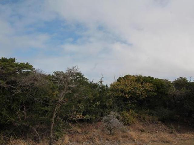 770 m² Land available in Begha
