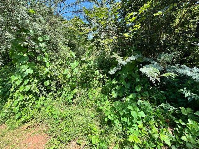 774 m² Land available in Port D Afrique