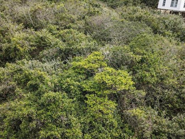 777 m² Land available in Cannon Rocks