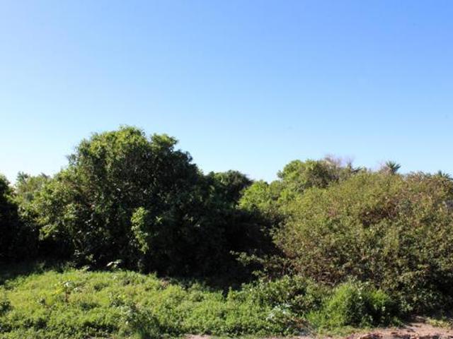 780 m² Land available in Port Alfred