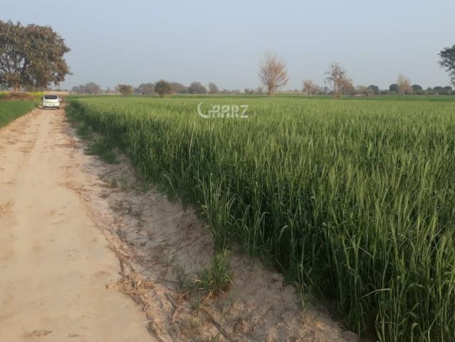 784 Marla Agricultural Land for Sale in Bahawalpur Chak 6 dnb, Tehsil Yazman
