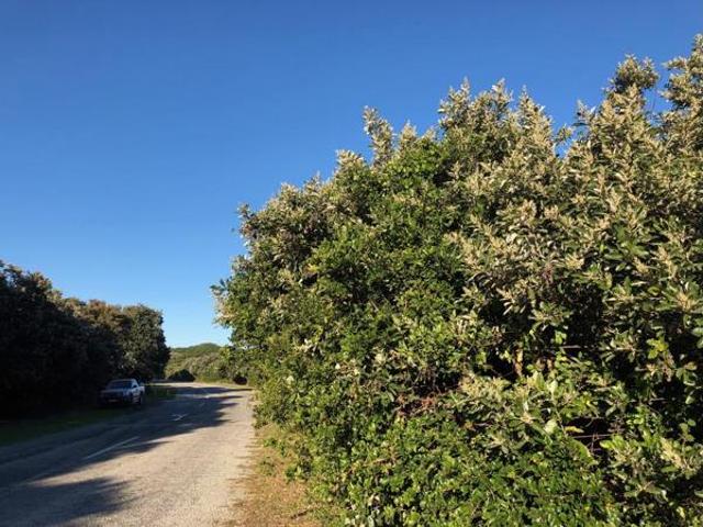 788 m² Land available in Boknesstrand