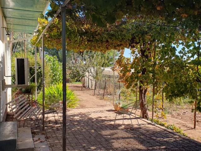 78 ha Farm in Upington