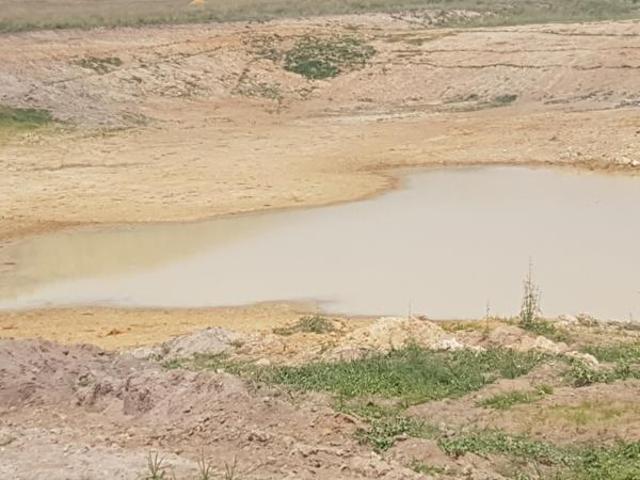 78 ha Land available in Bultfontein AH