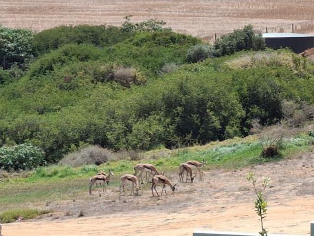 792 m² Land available in Mount Royal Golf Estate