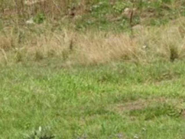 799 m² Land available in Edendale