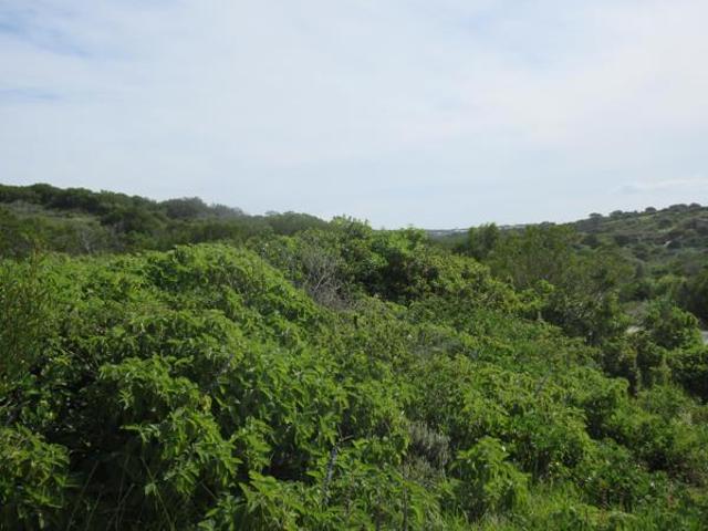799 m² Land available in Port Alfred Central