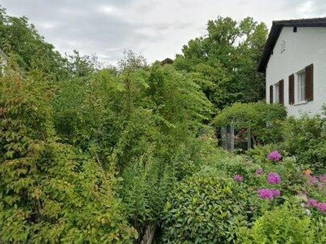 79 m2 apartment for rent in Uster