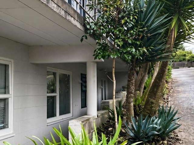 79A Albert Street, 1074, Hamilton City