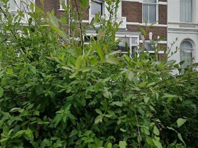 7 m2 room for rent in Nijmegen