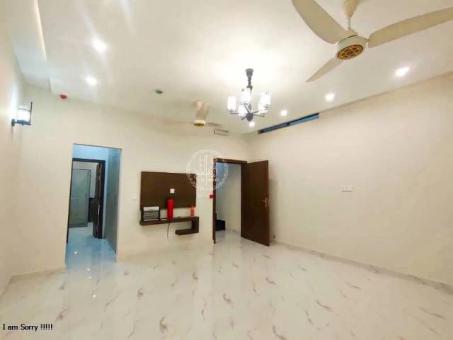 7 marla most beautifull corner house for rent in dha phase 6 block d Lahore DHA Defence ID 86370