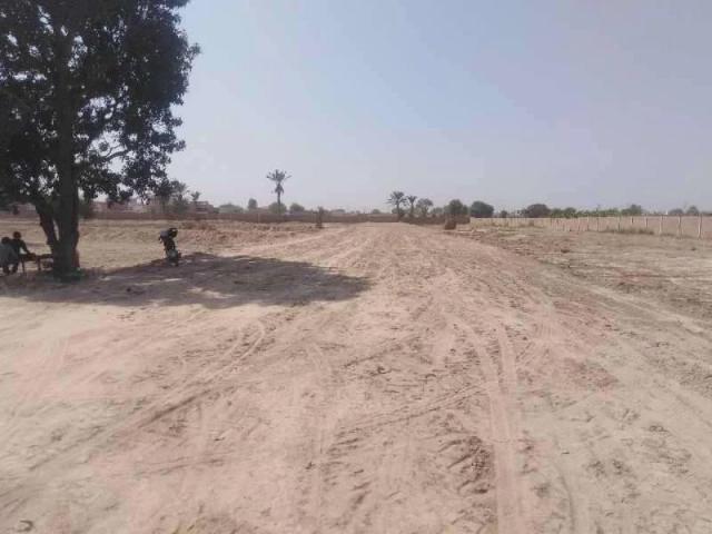 7 marla awesome location plot for sale in sahil orchard Bahawalpur DHA Bahawalpur ID 53347