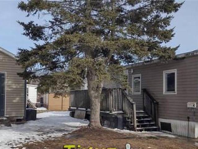 7 Nancy Moncton New Brunswick