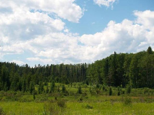 7 Acres of Wilderness by Burnstick Lake
