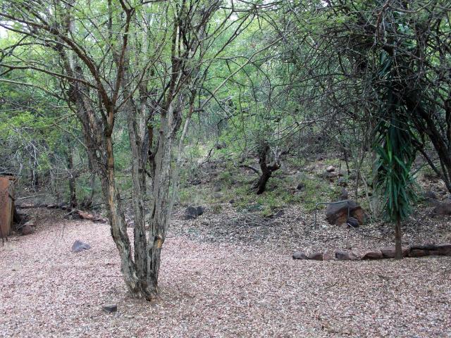 7 Bedroom house for sale in Lephalale Rural