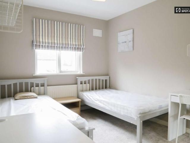 7 Bedroom Shared Living Dublin Dublin D07 NP74 101733465