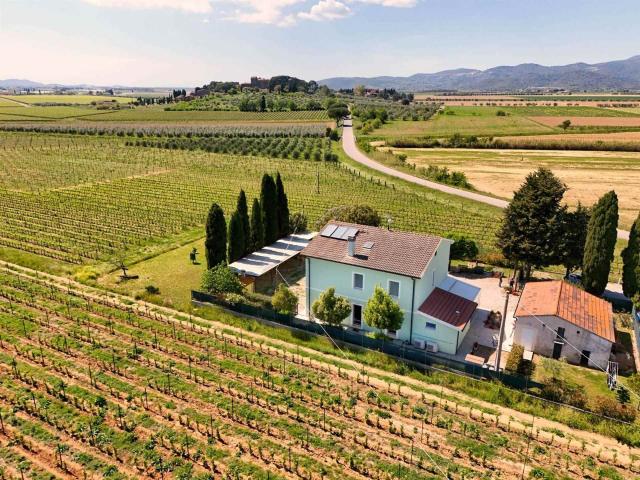 7 Camere Villa Toscana In Vendita A3165rva 265m² Campiglia Marittima