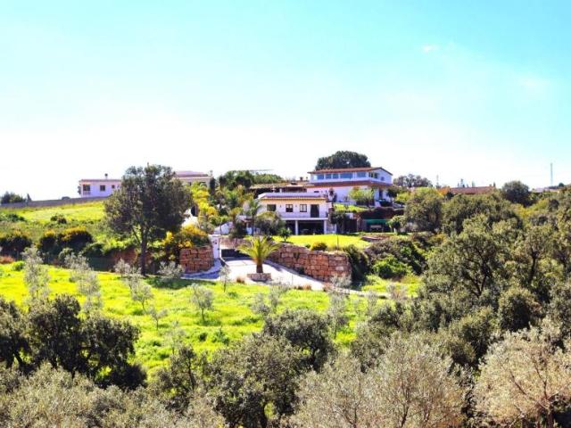 7 Dormitorio Apartamentos Málaga Andalusia 95261649