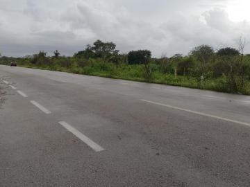 OPORTUNIDAD 7 HECTAREAS SOBRE CARRETERA KINCHIL