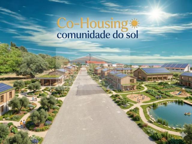7 Hectares Estratégicos a 5 Minutos de Tomar: O Seu Próximo Grande Empreendimento