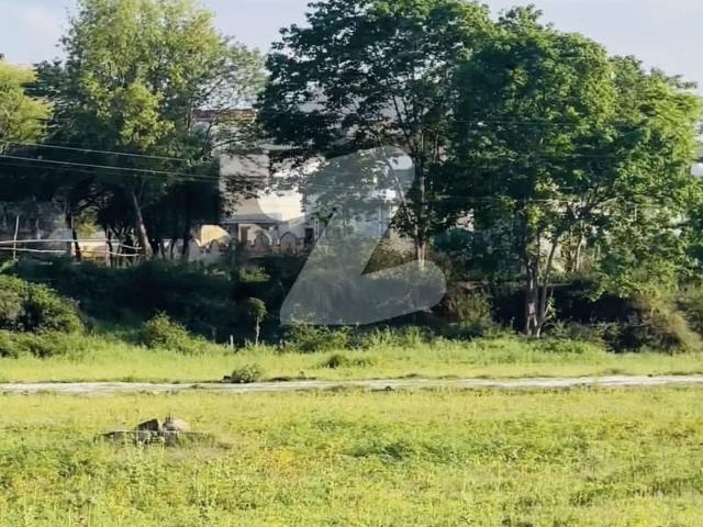 7 Kanal Prime Land For Sale Back Side Of COMSATS University | Ideal for Hostel/School