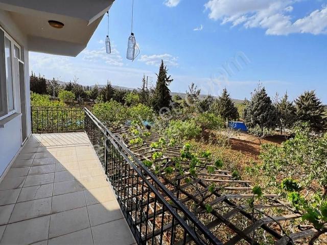 7 Kardeş Emlak'tan Tülmen De Satılık Bağ Evi