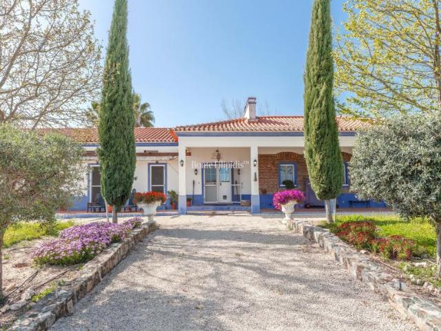 7 quarto, Vidigueira Beja LS94123139