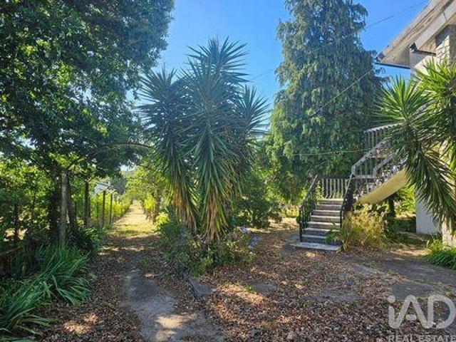 7 quarto, Viseu Viseu 103327827