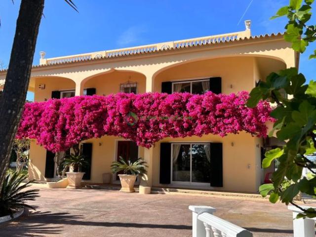 7 quarto, Loulé Algarve LS49811894