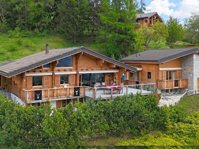 7 Room chalet