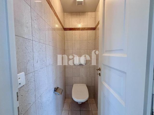 7 Zimmer, 193 m², 1. Stock