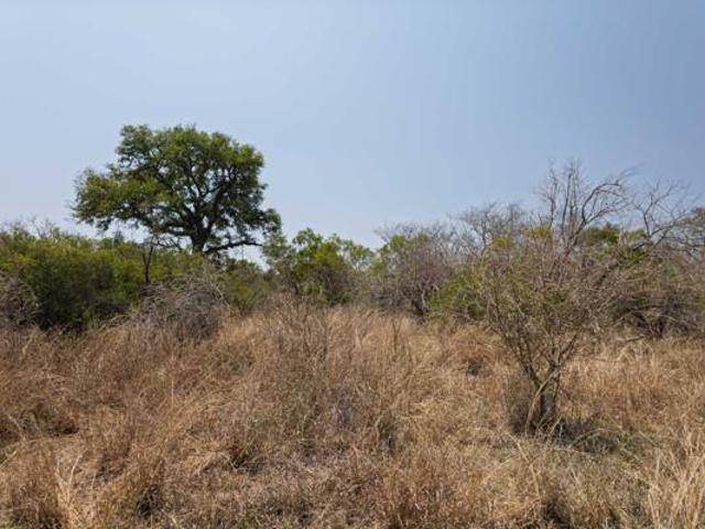 7 000 m² Land available in Moditlo Wildlife Estate