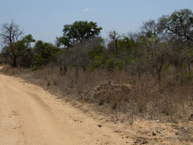 7 000 m² Land available in Moditlo Nature Reserve