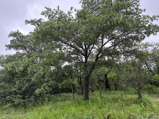 7 000 m² Land available in Moditlo Wildlife Estate
