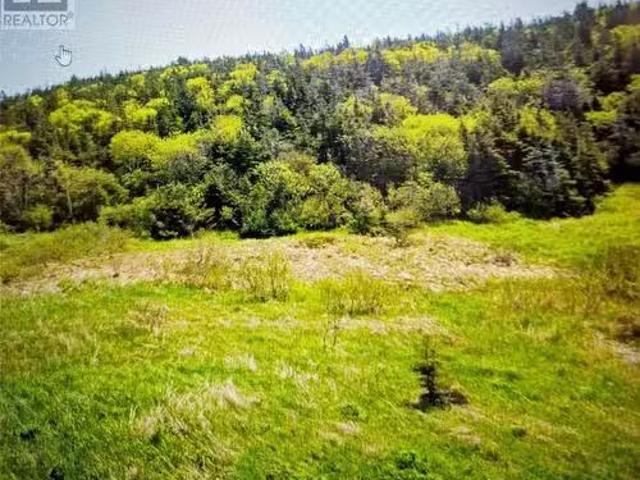 7 15 Pier Drive, St Lunaire Griquet, NL, A0K 2X0 vacant la.