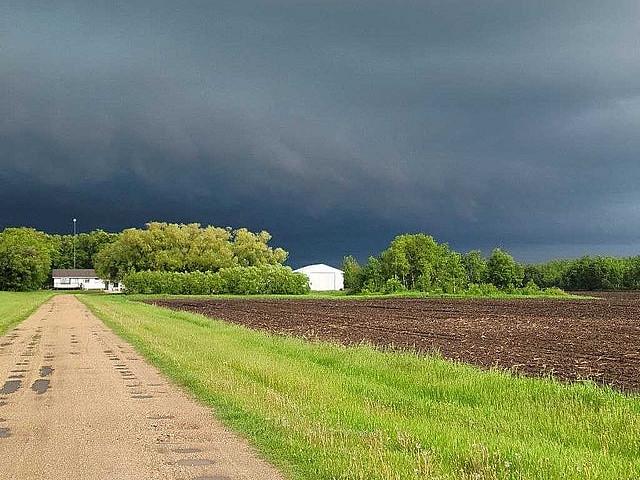 7.12 Acres Between Sarto And Grunthal