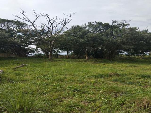 7 233 m² Land available in Elysium