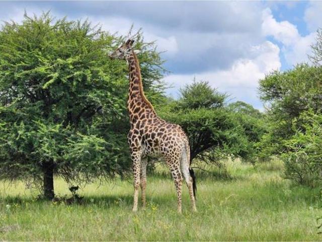 7 348 m² Land available in Bela Warmbaths