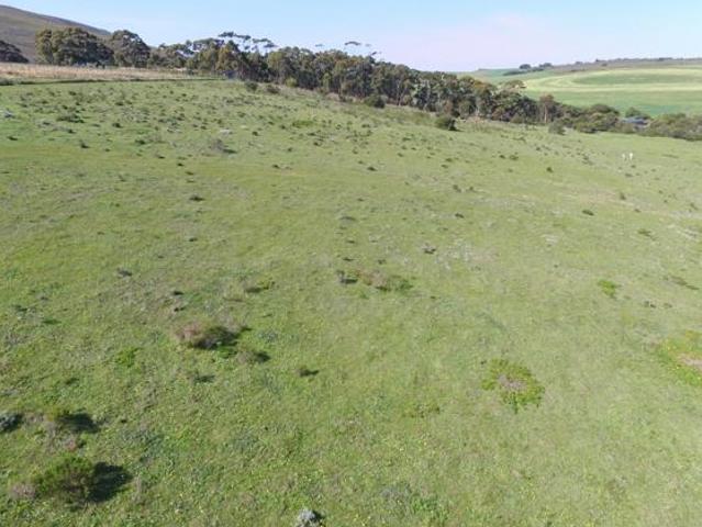 7.3 ha Land available in Baardskeerdersbos