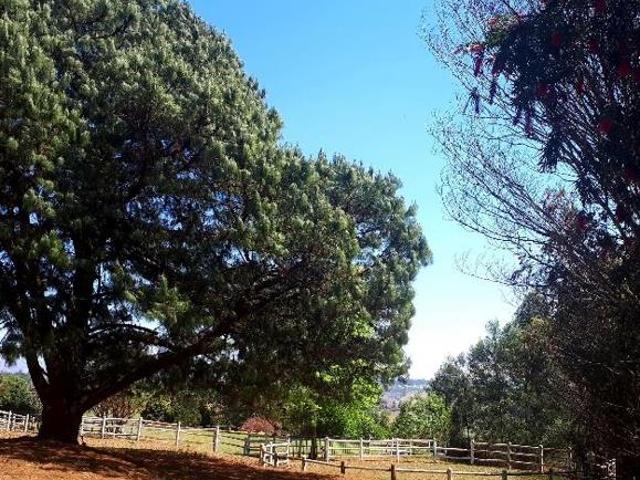 7 590 m² Land available in Hilton