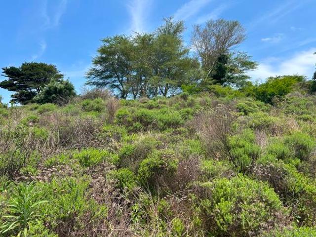 7 511 m² Land available in Mtunzini