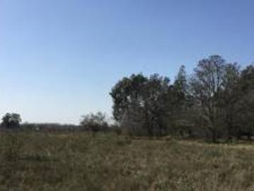 7,5 ha. Chacra c/ mejoras