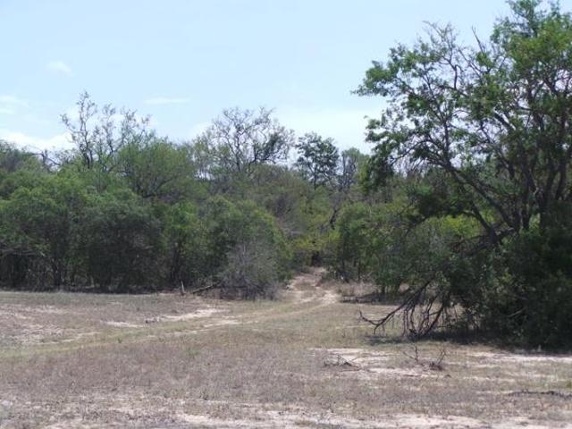 7 670 m² Land available in Moditlo Wildlife Estate