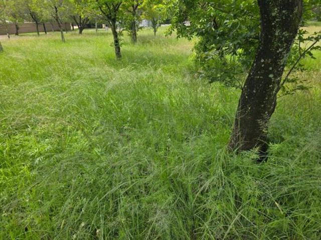 7 621 m² Land available in Secunda