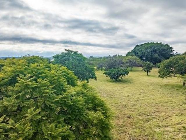 7 749 m² Land available in Annadale