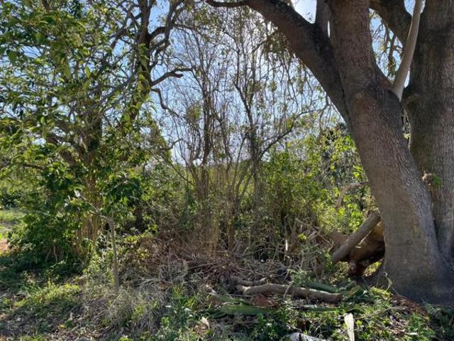 7 763 m² Land available in Bathurst